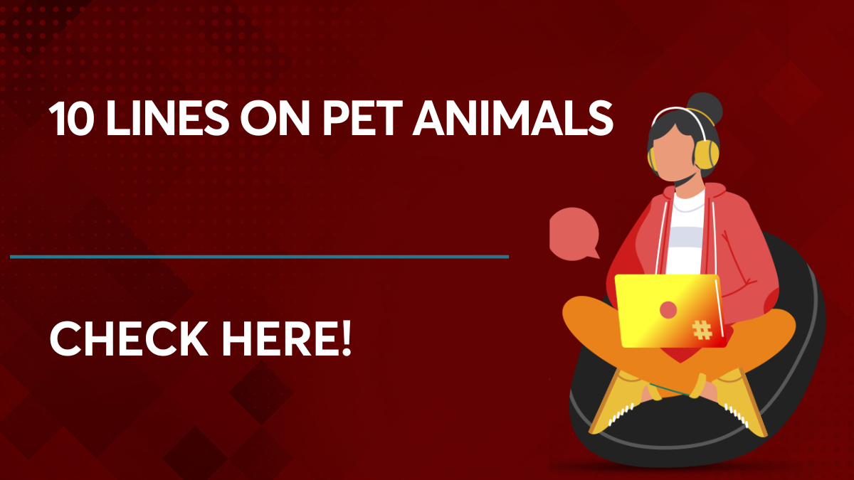 10 Lines On Pet Animals Essay: Check Out in this Article